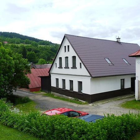 Penzion Pod Studenovem Rokytnice nad Jizerou Dış mekan fotoğraf