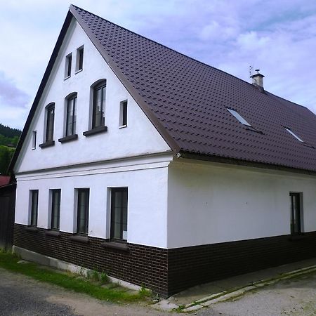 Penzion Pod Studenovem Rokytnice nad Jizerou Dış mekan fotoğraf